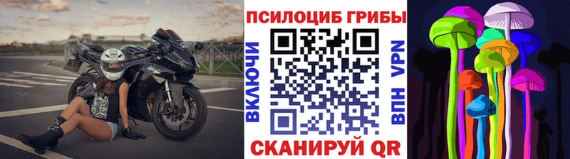 Галлюциногенные грибы мухоморы  Камызяк 